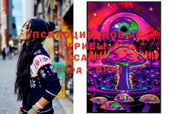 PSILOCYBIN Михайлов