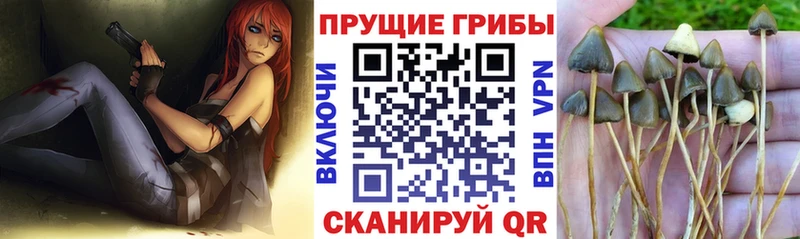 Псилоцибиновые грибы GOLDEN TEACHER Южноуральск