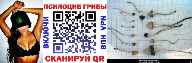 цены наркотик  Южноуральск  Галлюциногенные грибы Psilocybine cubensis 