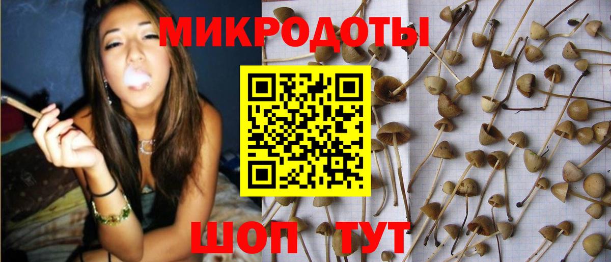 Псилоцибиновые грибы мицелий  Галлюциногенные грибы GOLDEN TEACHER  Вход с VPN  наркошоп  Южноуральск 